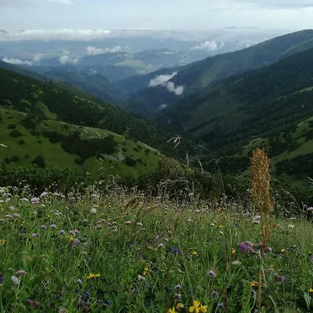 Appartamento Naji - Tale