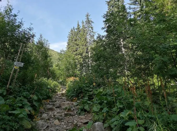 Apartment Naji - Tale